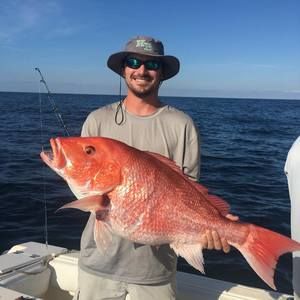 Meet your Posher, Brad